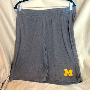University of Michigan Grey Nylon XL Shorts with Pockets; Elasticized Waist